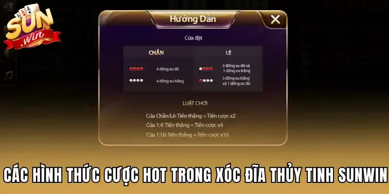 Các hình thức cược hot trong Xóc Đĩa Thủy Tinh Sunwin