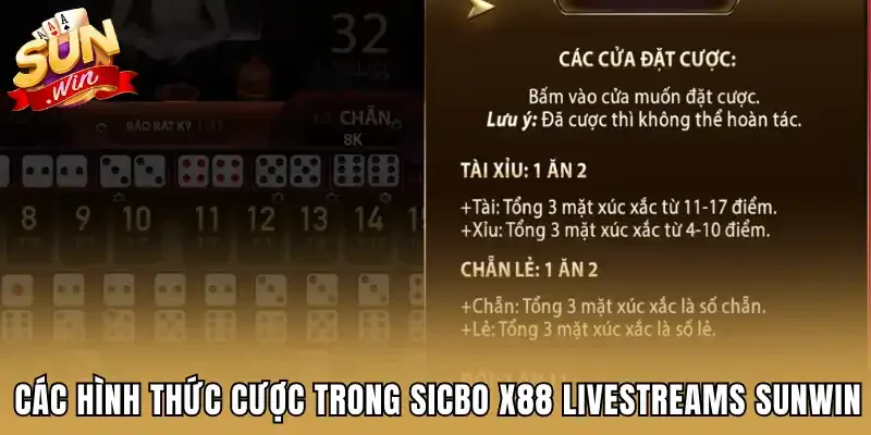 Các hình thức cược trong Sicbo X88 Livestreams Sunwin