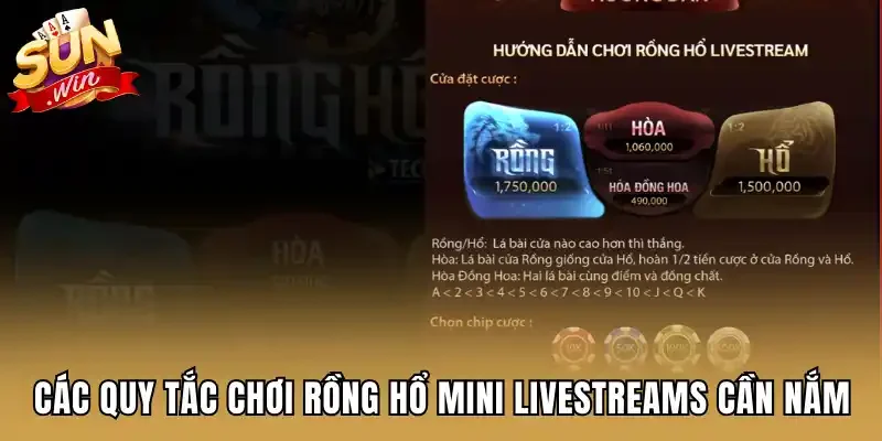 Các quy tắc chơi rồng hổ mini livestreams cần nắm